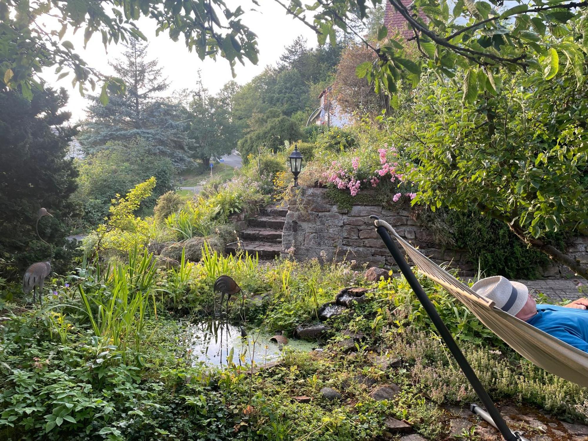 Ferienwohnung Kellerwald วัลเด็ค ภายนอก รูปภาพ